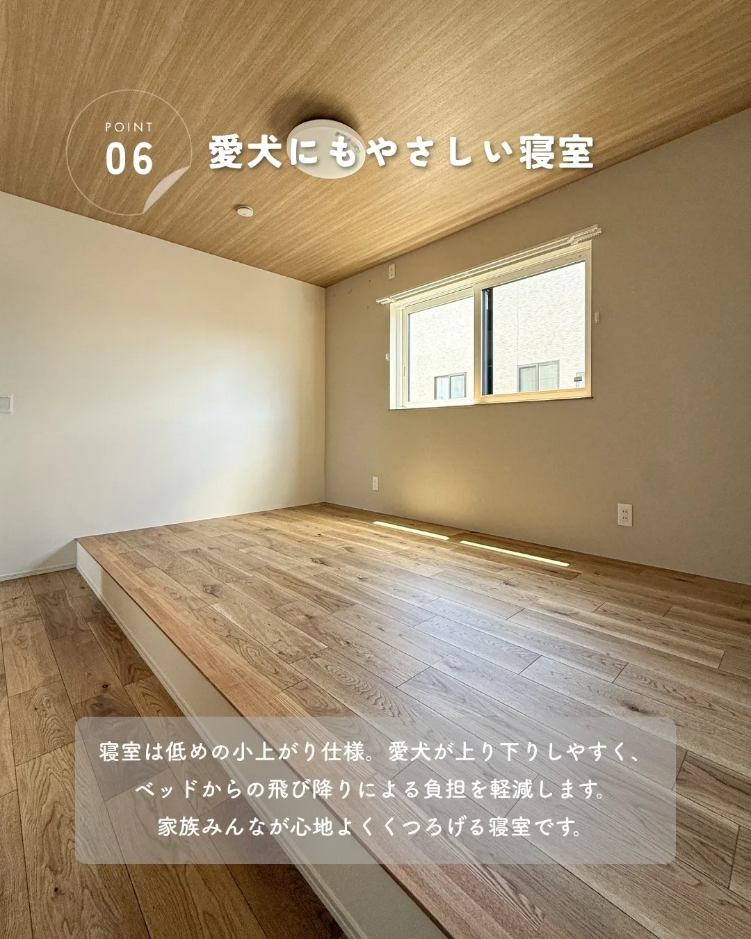愛犬のために考えた工夫が